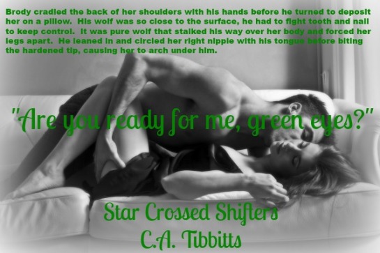 Star Crossed Shifters - Teaser 4